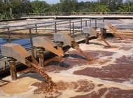 Top 5 công ty cung cấp vận chuyển bùn vi sinh quận Tân Bình tốt