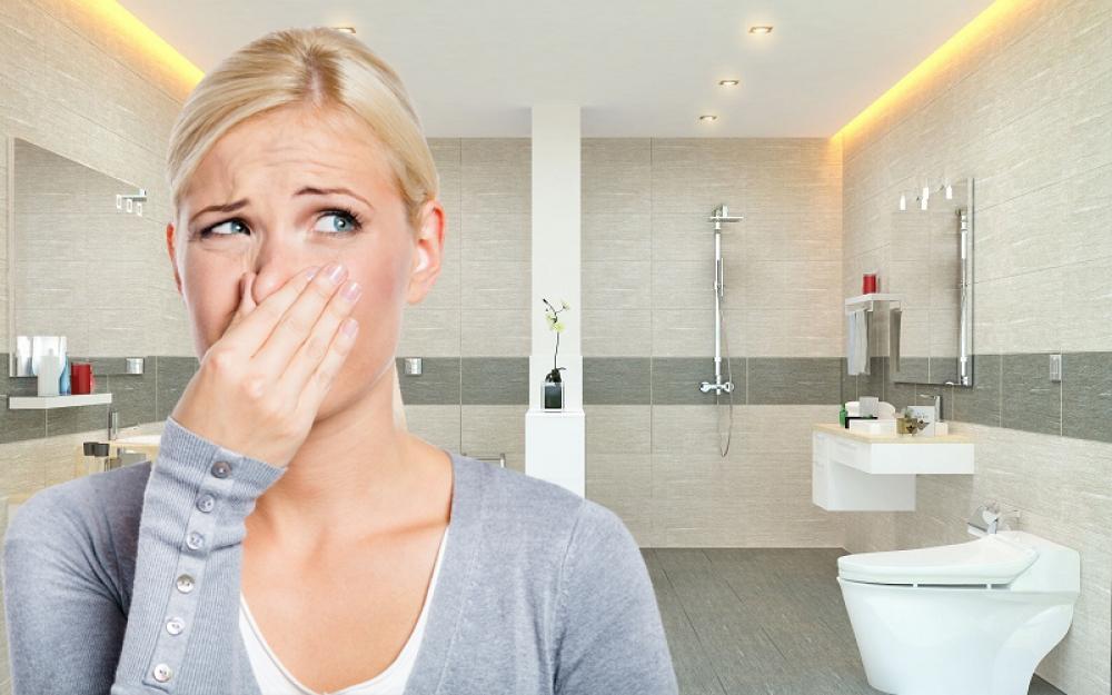 C&oacute; rất nhiều nguy&ecirc;n nh&acirc;n khiến hầm cầu bị đẩy, g&acirc;y ra m&ugrave;i nặng
